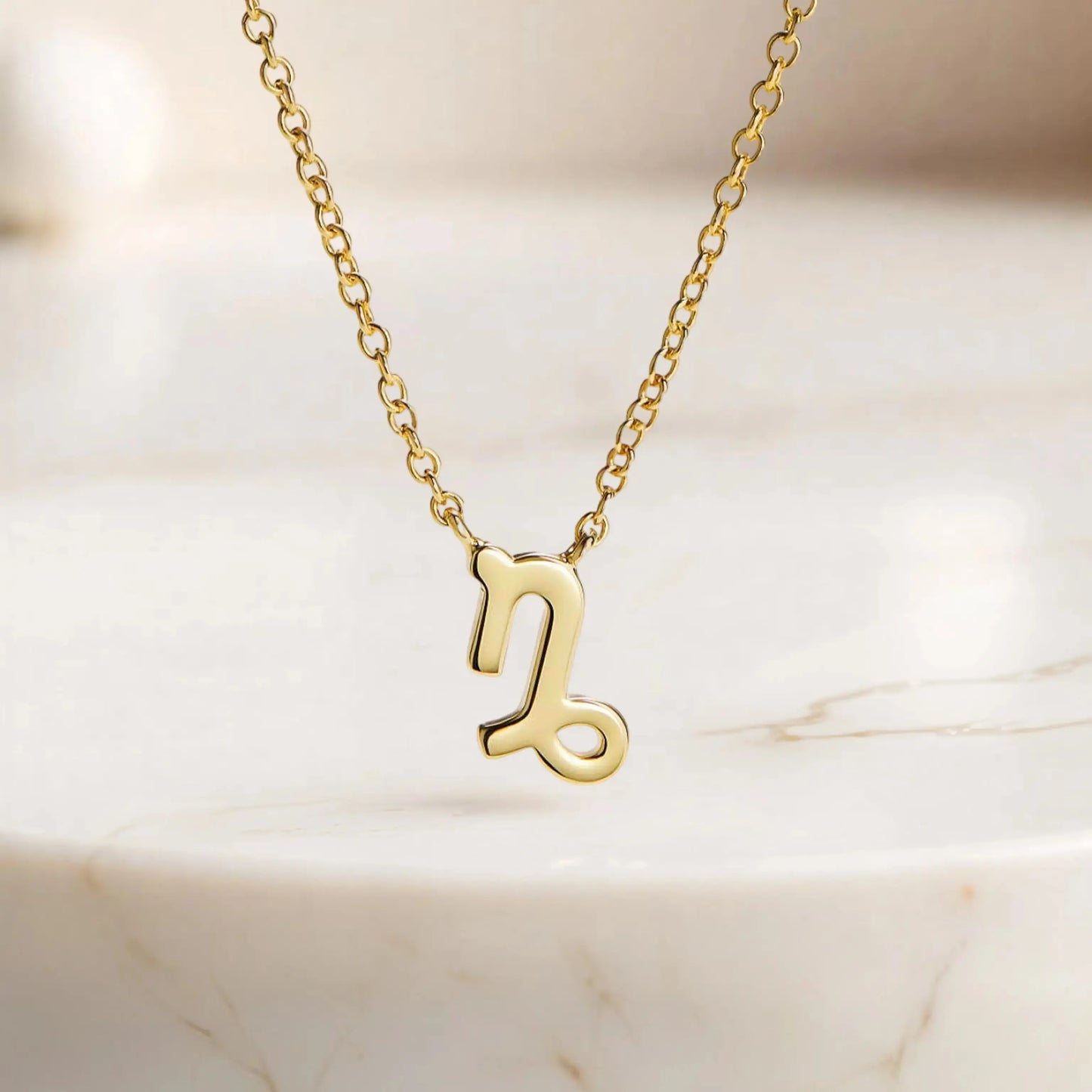 Zodiac pendants  Capricornus Necklaces Starry Cradles 85.00